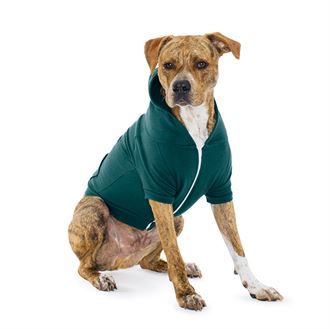 dog zip hoodie