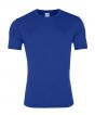 Royal Blue Colour Sample