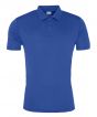 Royal Blue Colour Sample