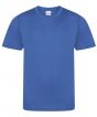 Royal Blue Colour Sample