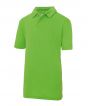 Lime Green Colour Sample