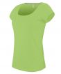 Lime Colour Sample