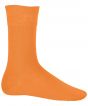 Orange Colour Sample