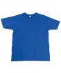 Royal Blue Colour Sample