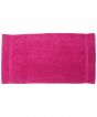 Fuchsia Colour Sample