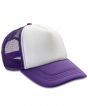 Purple/White Colour Sample