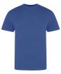 Royal Blue Colour Sample