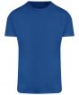 Royal Blue Colour Sample