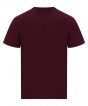 Maroon Colour Sample