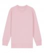 Cotton Pink Colour Sample