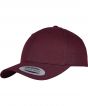 Maroon Colour Sample